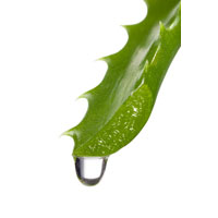 De Sarbatori, ofera un parfum bio