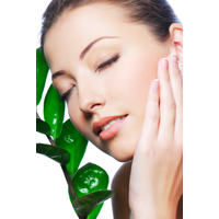 2009_body_care_uleiul_de_argan