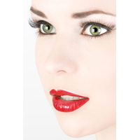 2009_make_up_gene_false
