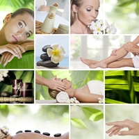 shutterstock_767516052