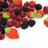 fructeee
