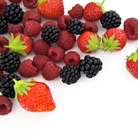 fructeee