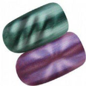 manichiura_magnetica