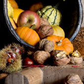shutterstock_36487474