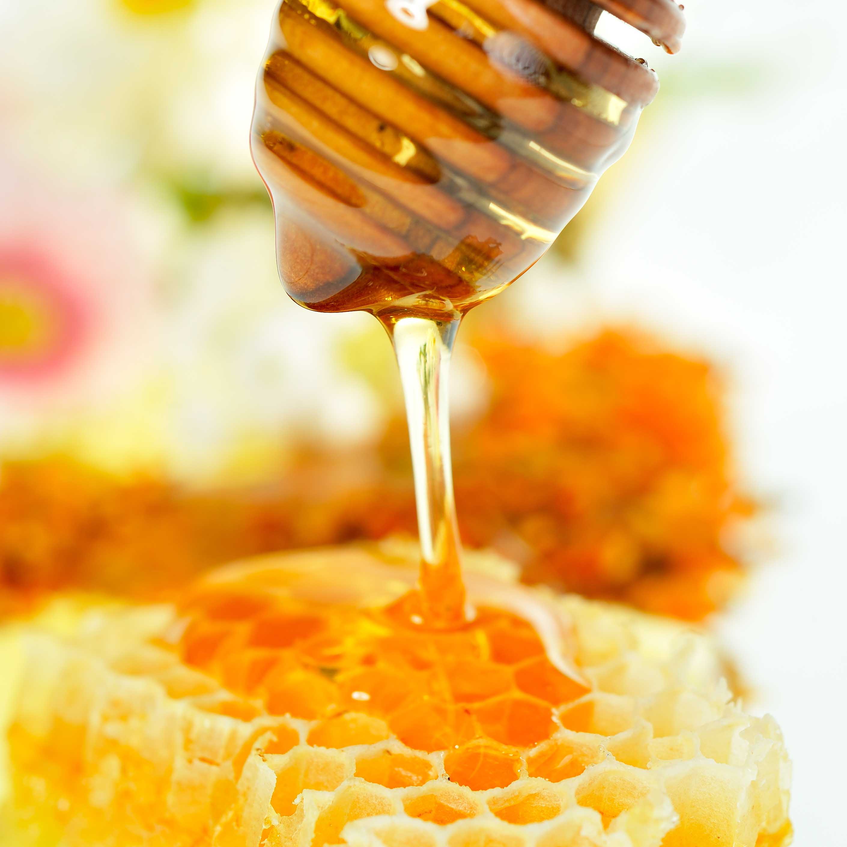 shutterstock_41642656_farmacia_ta