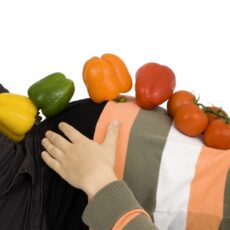 shutterstock_7880038