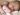 shutterstock_2808503