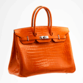 1a1aHermesBirkin