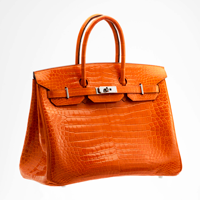 1a1aHermesBirkin