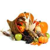 shutterstock_28447