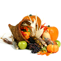 shutterstock_28447
