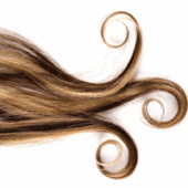 -0a0a0a0a0a0a0a0shutterstock_33667063