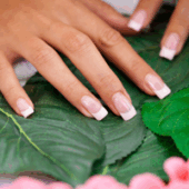 -0a0shutterstock_17625000