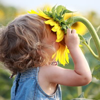 -0shutterstock_69211996