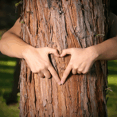 shutterstock_3744664
