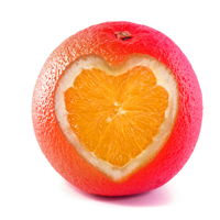 shutterstock_9793876