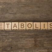 metabolism lent