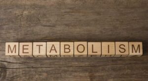 metabolism lent