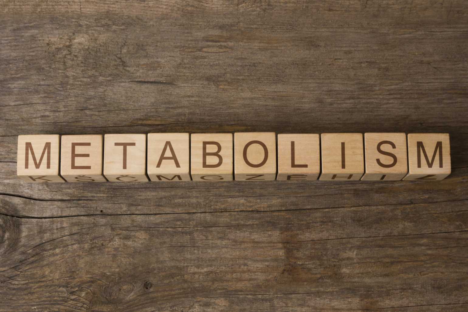 metabolism lent