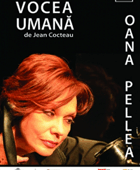 Poza_duminica_22_aprilie