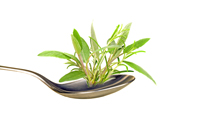 shutterstock_75792253