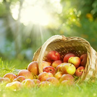 shutterstock_73718317