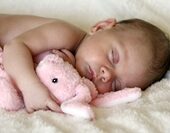 shutterstock_2808503