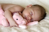 shutterstock_2808503