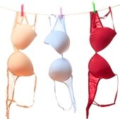 shutterstock_46242211