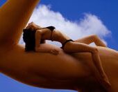 shutterstock_84399442