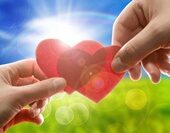 shutterstock_41845711