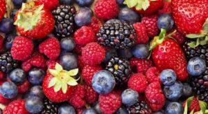 fructe de pădure