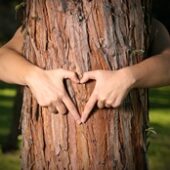 shutterstock_3744664