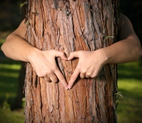 shutterstock_3744664