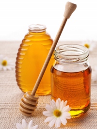 shutterstock_10360534