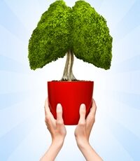 shutterstock_79926865