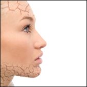 shutterstock_9318553