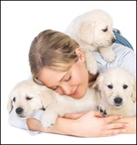 shutterstock_10390492