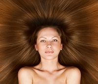 shutterstock 104259509