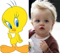 p17b29m98118ch1rhbr6i11no1tn15