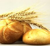 shutterstock 79315132
