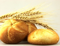 shutterstock 79315132