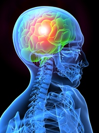 shutterstock 5407147