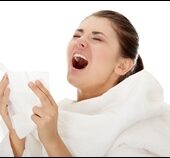 shutterstock 66205579