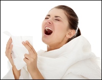 shutterstock 66205579