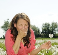 shutterstock 77224987