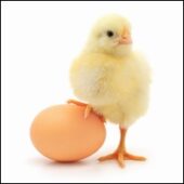 shutterstock 73369063