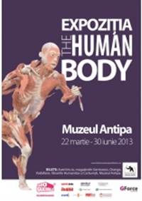 Poza marti 26 martie
