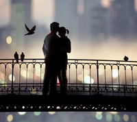 shutterstock 44258257