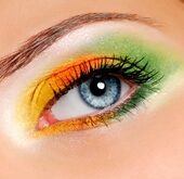 shutterstock 6957481